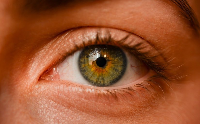 Oczy to jednostkowy organ. To otóż to dzięki nim widzimy.